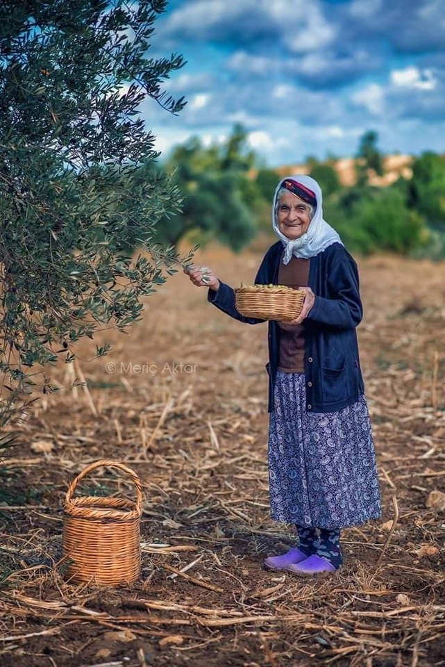 Zeytin Ağaçlarıyla İç İçe Geçmiş Bir Hayat Antakya’da Atalardan Kalan Miras Yaşıyor