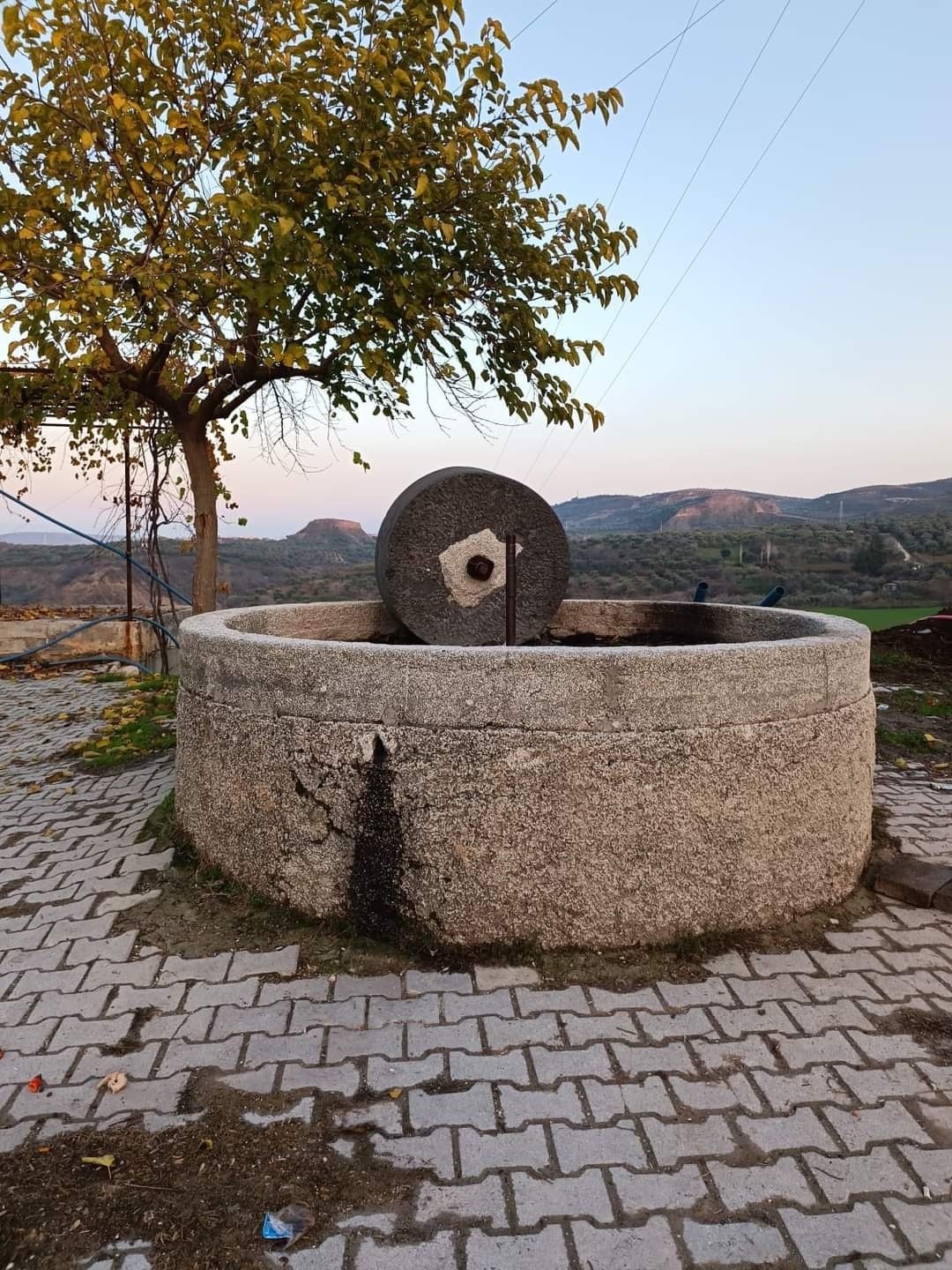 Zeytinyağı Üretiminde Geleneksel Yöntem Taş Baskı Soğuk Sıkım (2)