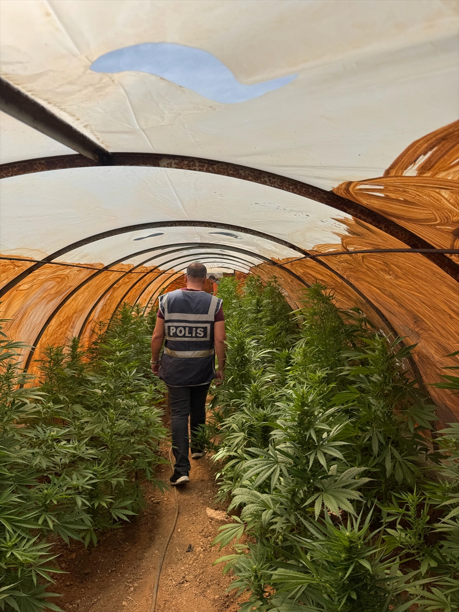 Mersin'de Bahçesindeki Serada Kenevir Yetiştiren Zanlı Tutuklandı