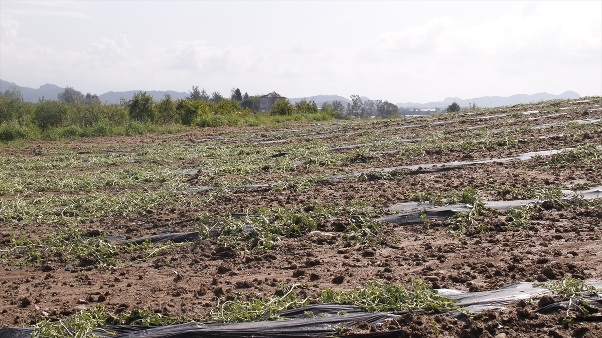 Serik'te Sağanak Ve Dolu Tarım Arazilerinde Zarara Yol Açtı