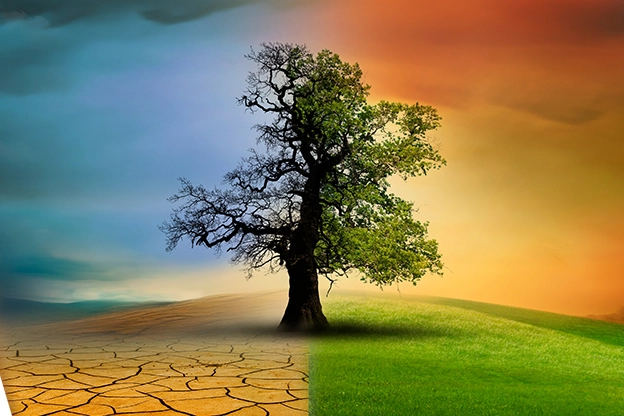 Türkiye'nin Ilk İklim Kanunu Neler Getiriyor? 14 Soruda İklim Kanunu...