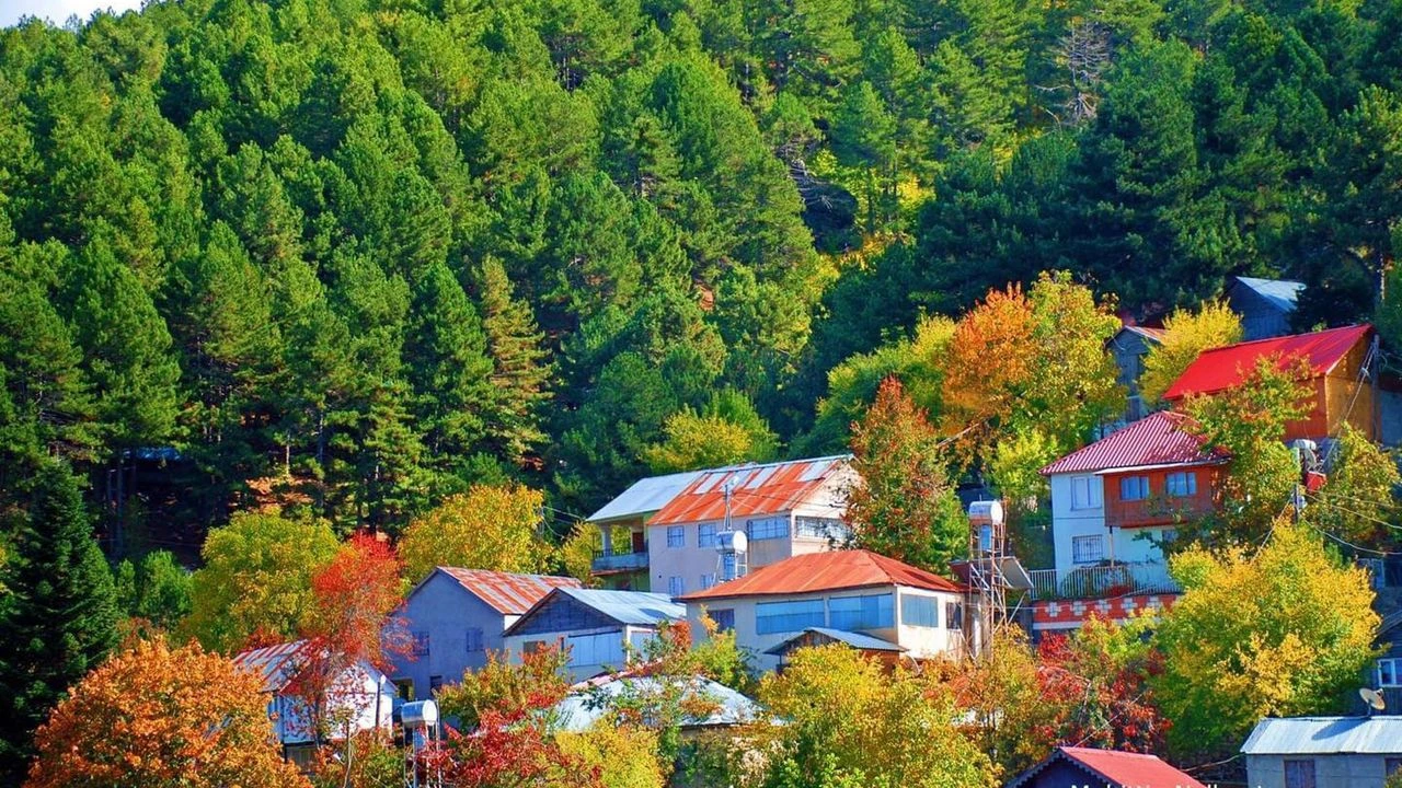 Amanoslar'da Bahar Uyanışı Hataylılar Zorkun'a Akın Ediyor (1)
