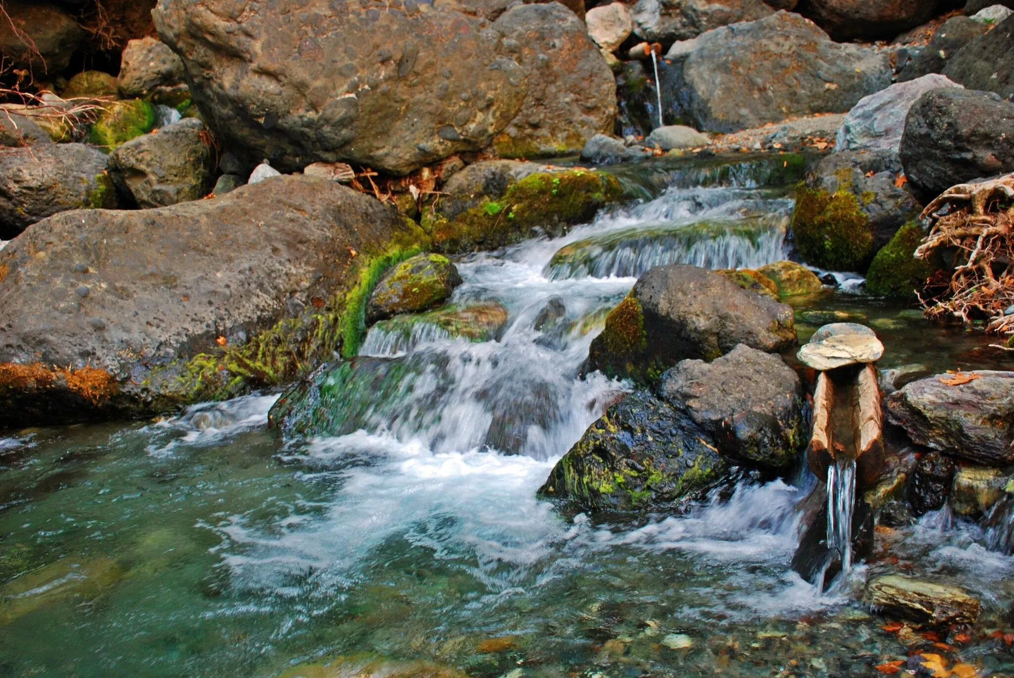 Amanoslar'da Bahar Uyanışı Hataylılar Zorkun'a Akın Ediyor (2)