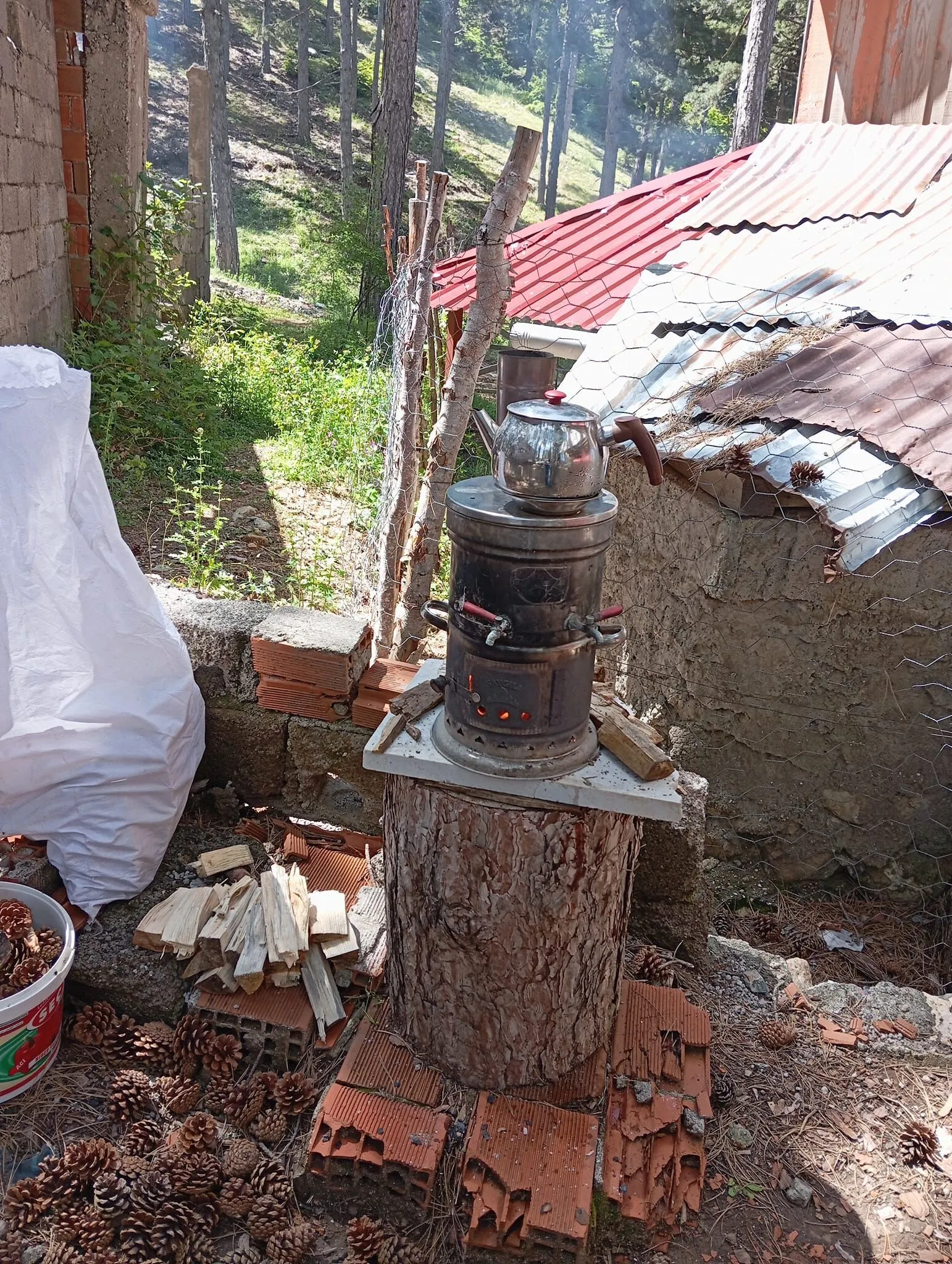 Amanoslar'da Bahar Uyanışı Hataylılar Zorkun'a Akın Ediyor (3)-1