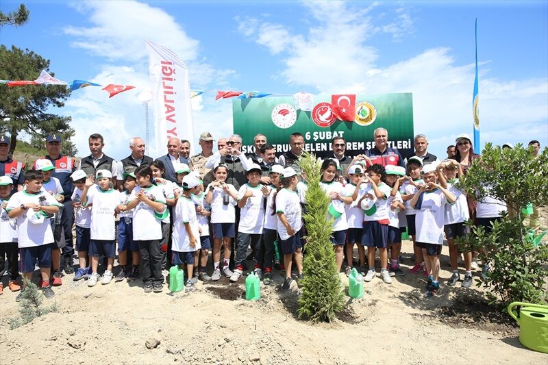 Hatay Orman Fidan (2)