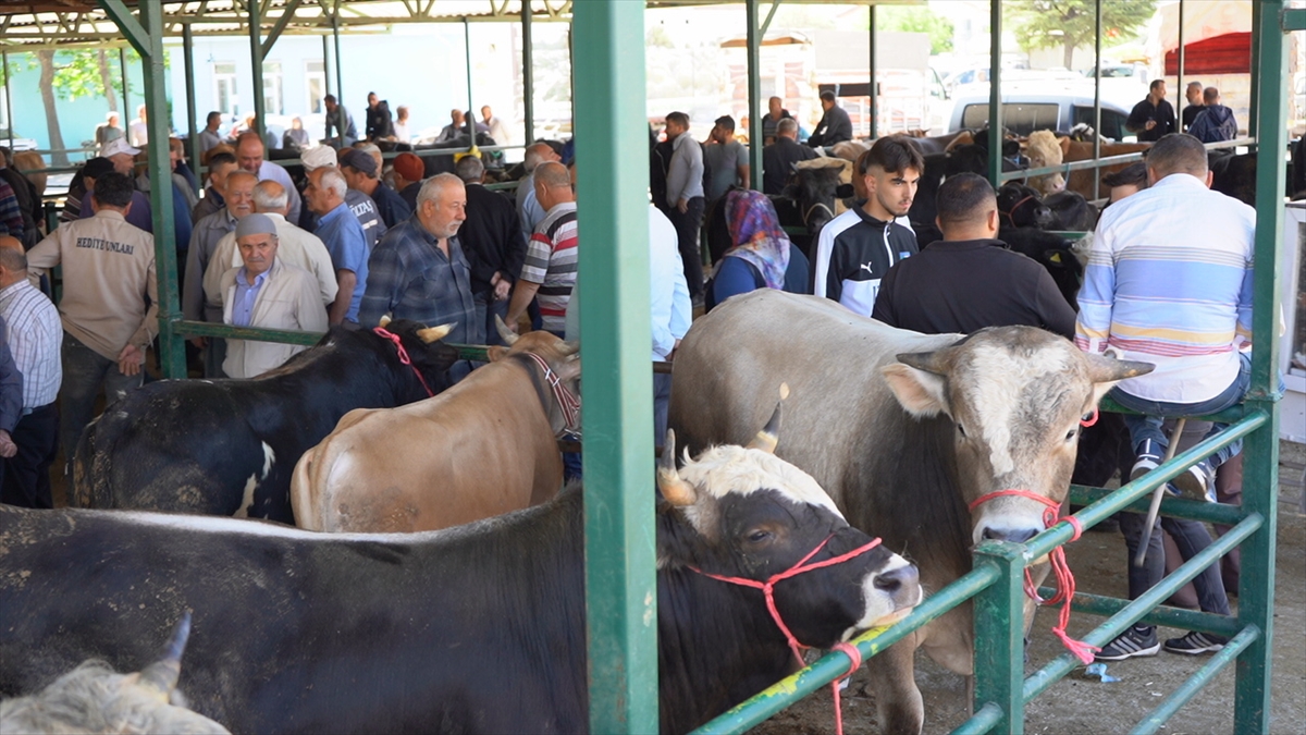 Isparta'da Kurban Bayramı Öncesi Hareketlilik Yaşanıyor