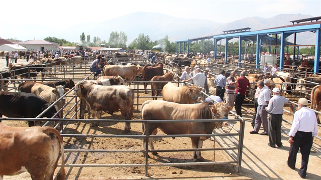Kurban Satış Noktası Hatay
