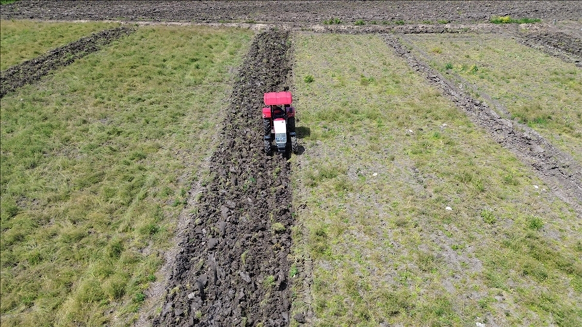 Tarımda Genel Sayım Sonuçları Gelecek Yıl Açıklanacak