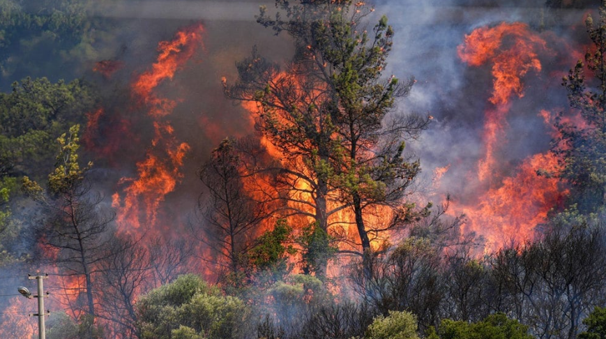 Hatay Orman Yangini Zarar (2)