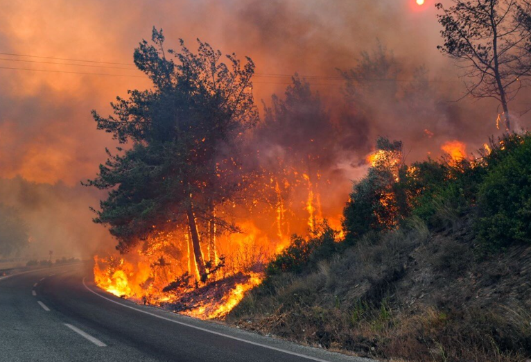 Hatay Orman Yangini Zarar (3)