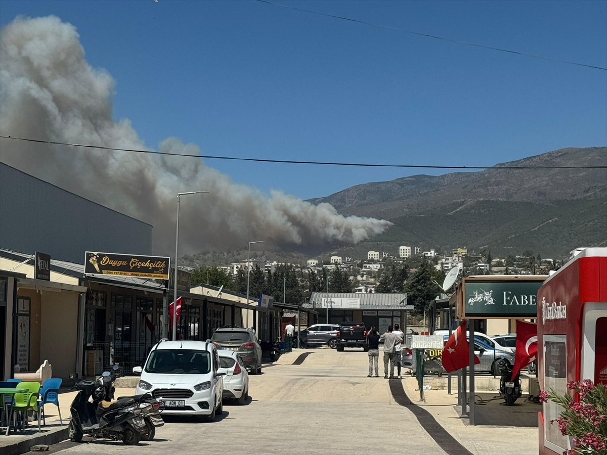 Hatay Yangın (4)