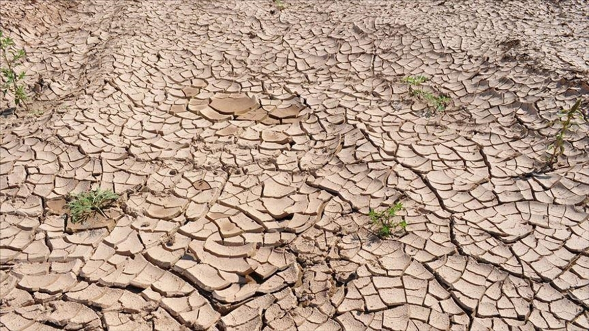 Kuraklık 2050 Yılına Kadar 1 Milyar Kişiyi Göç Ettirebilir