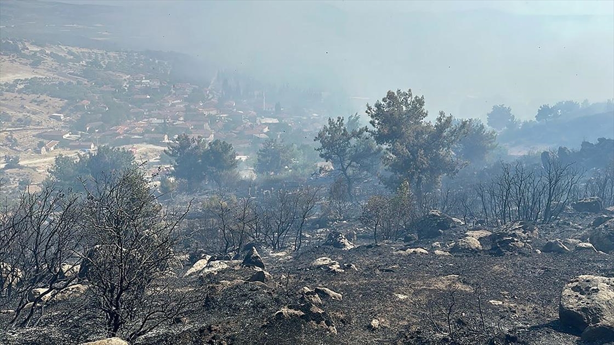 Manisa'nın Kırkağaç Ilçesindeki Orman Yangını Kontrol Altına Alındı