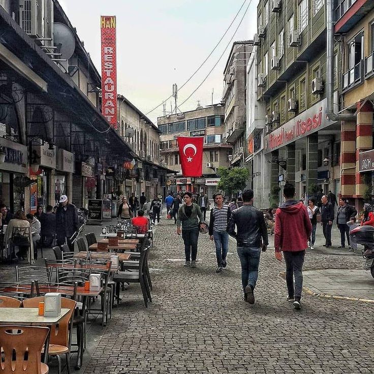 Saray Cd 1