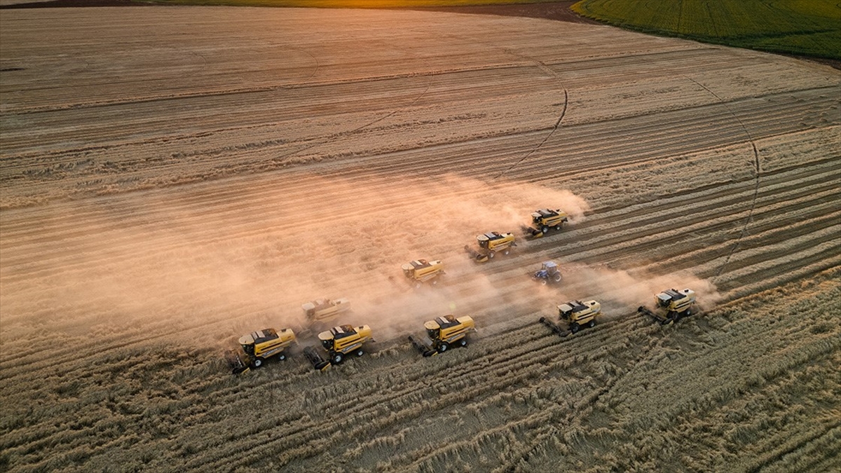 Tarım Üfe Mayısta Aylık Bazda Yüzde 0,23 Arttı