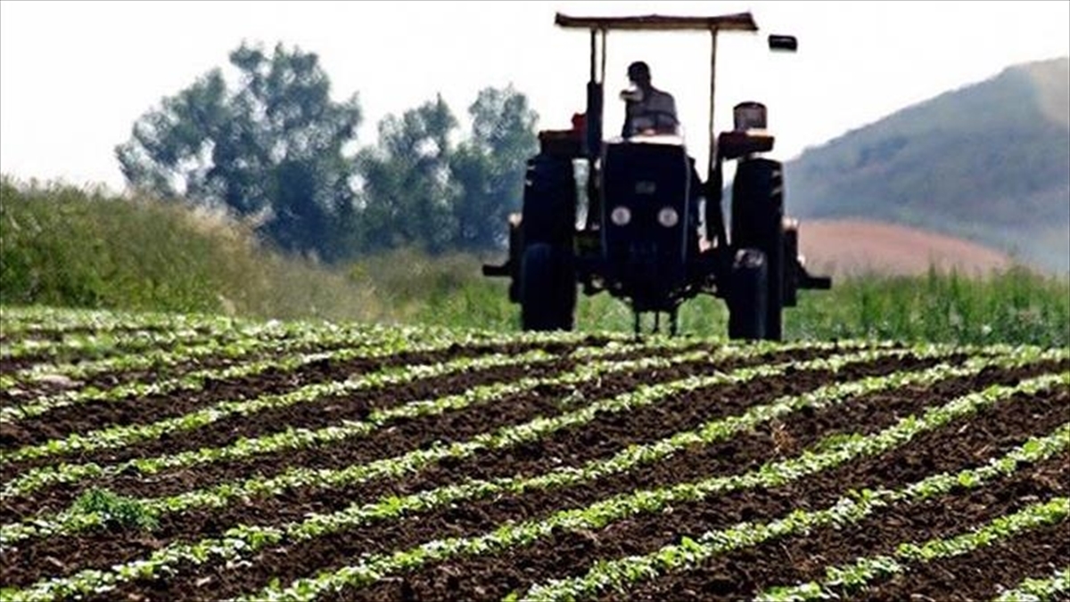 Çiftçilere Yaklaşık 345 Milyon Lira Tarımsal Destekleme Ödemesi Yapılacak