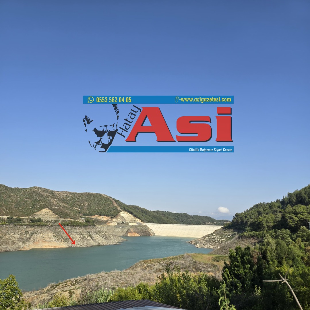 D7612C9C 1B94 430E 99D0 89Efb747C238