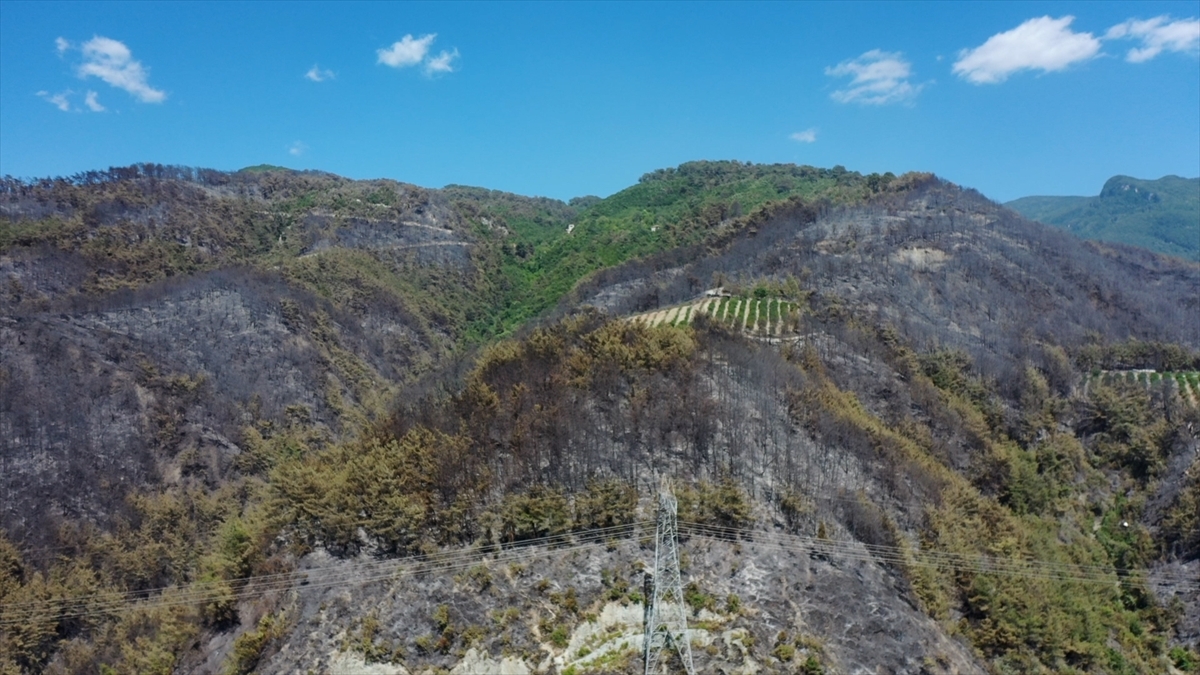 Hatay Dörtyol'daki Orman Yangınında Zarar Gören Alanlar Dronla Görüntülendi