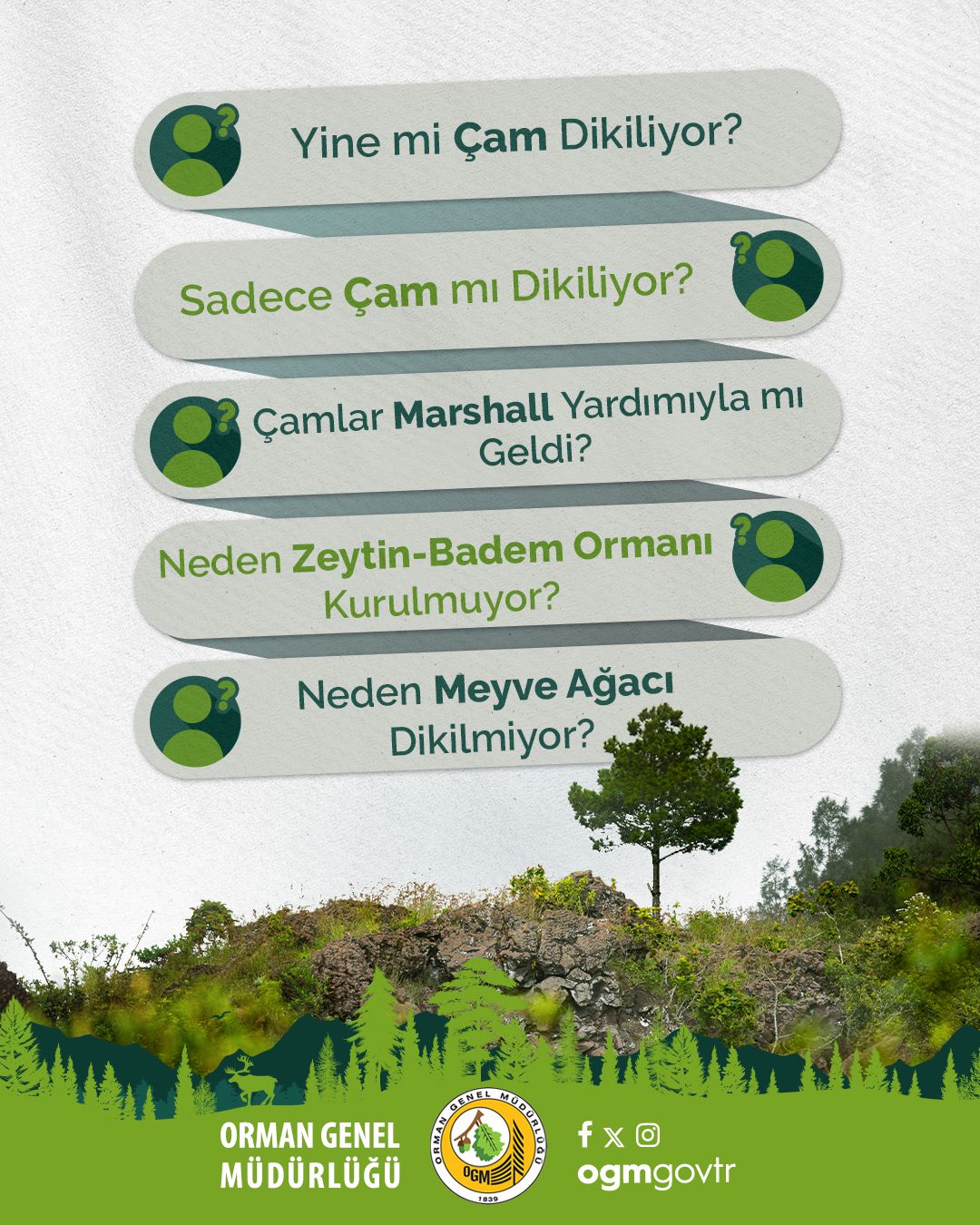 Orman (1)