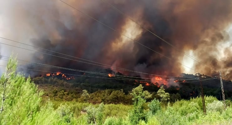 Surıye Yangın