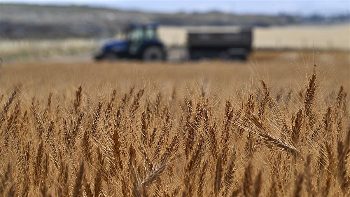 Türkiye Tarımsal Hasılada Rekor Kırarak Dünyada Ilk 7 Ülke Arasına Girdi