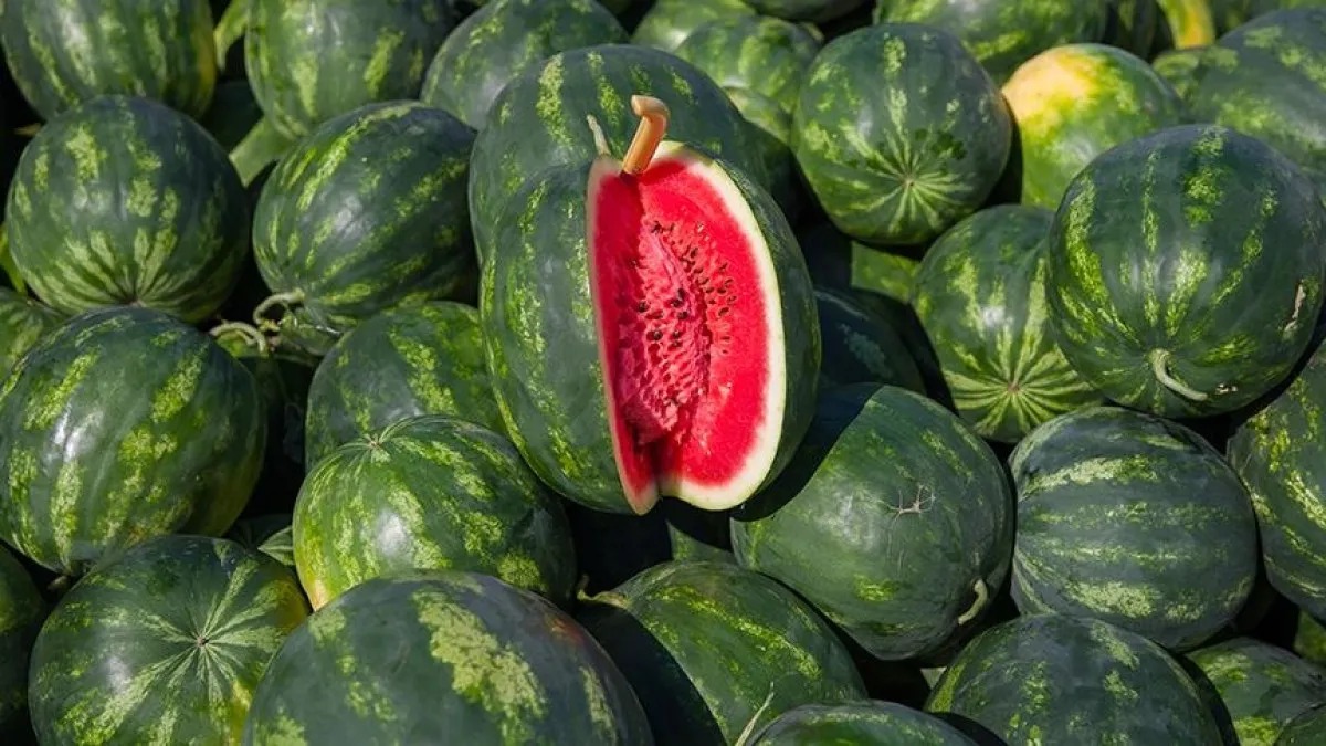 Whatsapp Image 2025 07 25 At 10.39.41