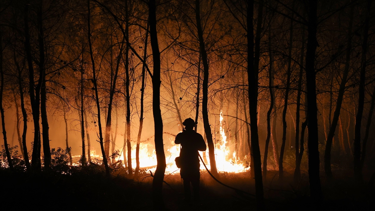 Yüksek Sıcaklıklar Yunanistan'da Yangınlara Neden Oldu