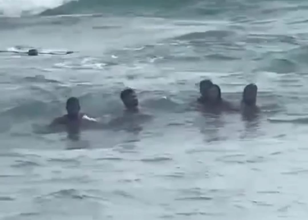 6Ed43033 07F5 4855 9Acd 8209Fb3Ed5Dd