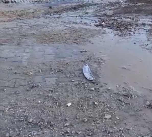 Ekran Görüntüsü 2025 08 31 103358