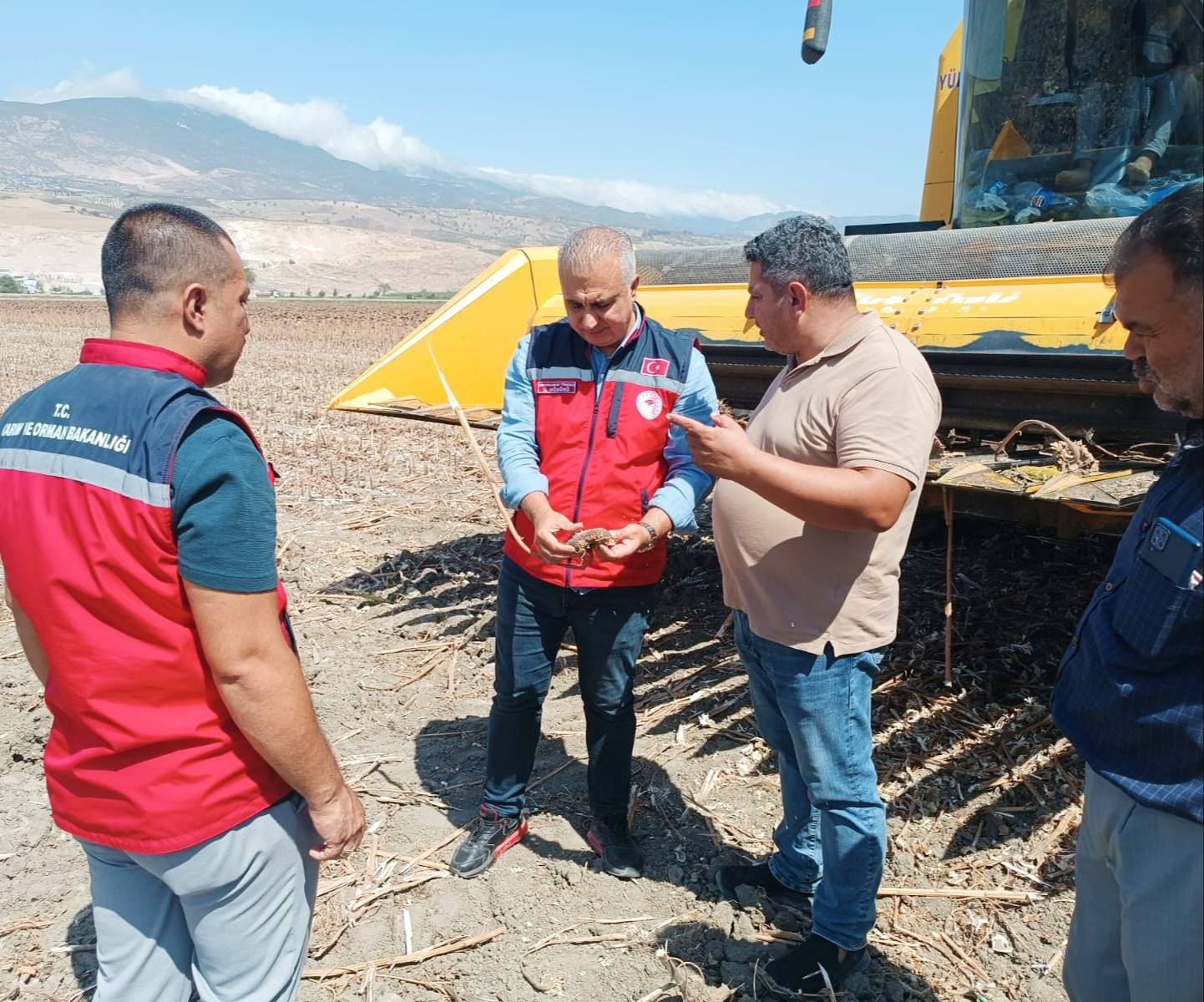 Hatay Kırıkhan Gtarım (4)
