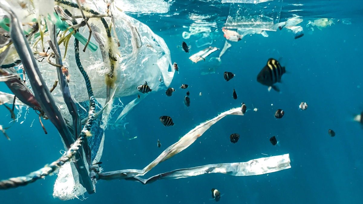 Pasifik Okyanusu'nda Binlerce Ton Plastikten Oluşan Çöp Yığını, Insan Sağlığını Tehdit Ediyor
