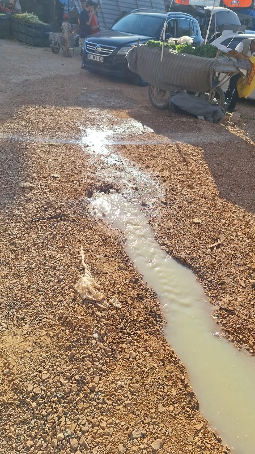 26D029B1 2B95 42Ed 9404 F63082316Ed7