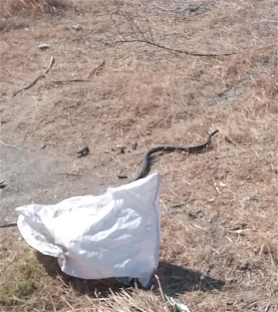 A A 20250912 39095962 39095958 H A T A Y D A 2 E V E G I R E N Y I L A N L A R I T F A I Y E E K I P L E R I N C E C I K A R I L D I