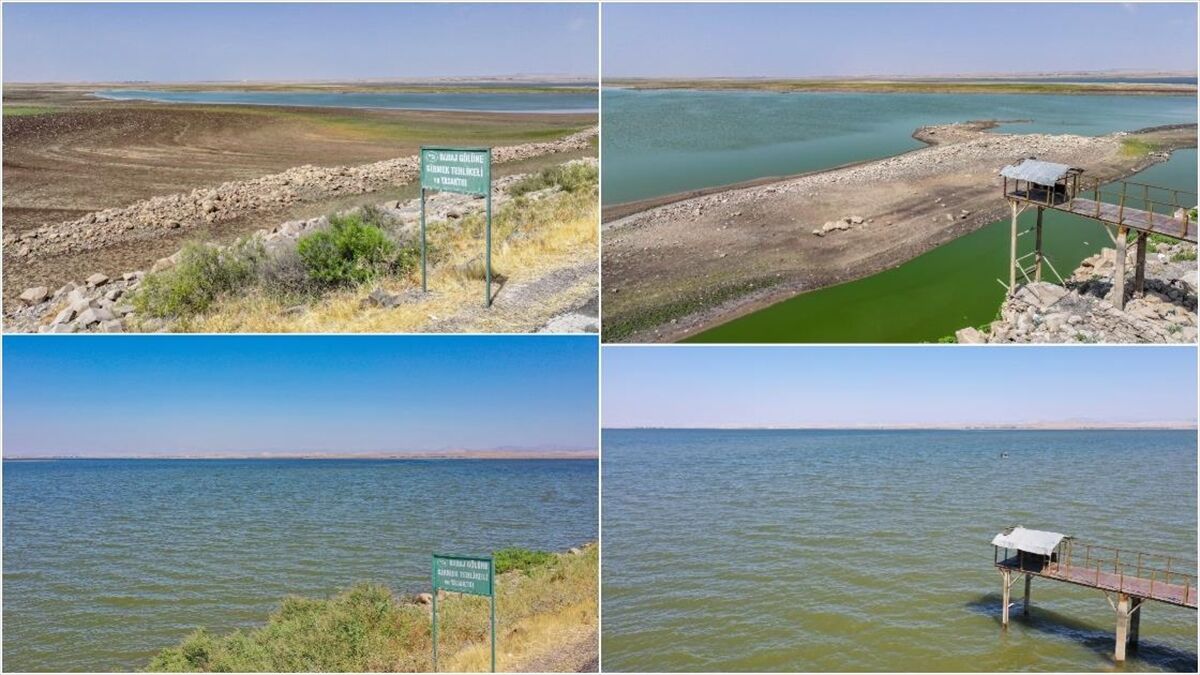 Devegeçidi Baraj Gölü'ndeki Kuraklık Canlı Yaşamını Tehdit Ediyor