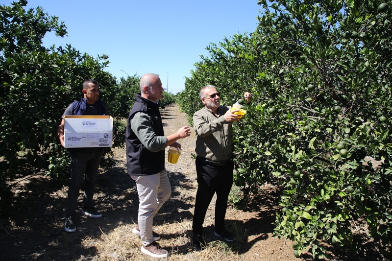 Hatay Traım Sinek Ilaç (1)