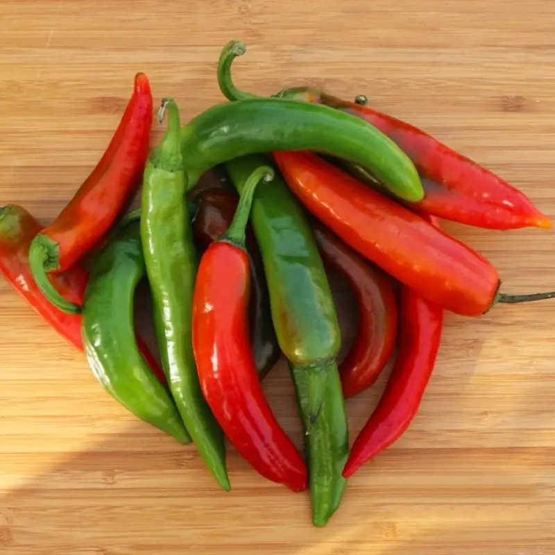 Samandağ Bieberi (1) (2)