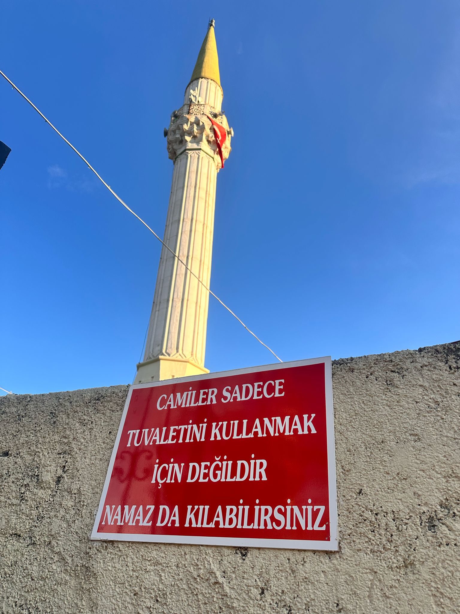 558983046 1194130612747415 6268363875194959960 N