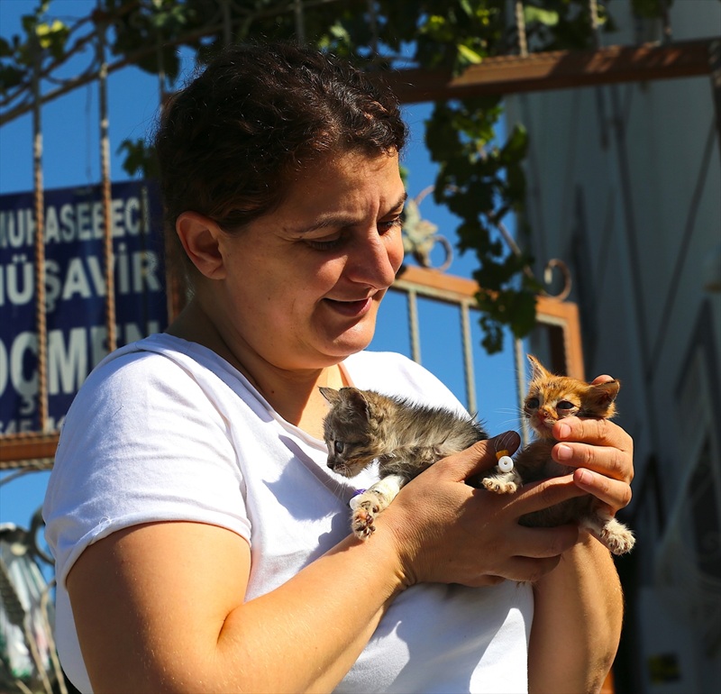 Depremzede Kadın, Sahipsiz Kedilere Kucak Açtı (1)