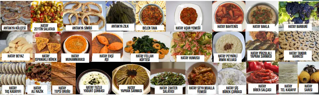 Hatay1-8