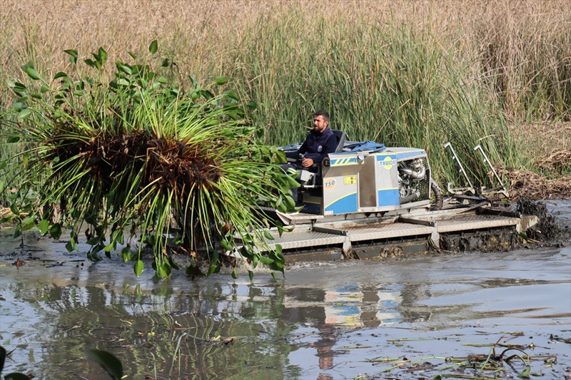 Hataylı Kadınlar Doğa (2)