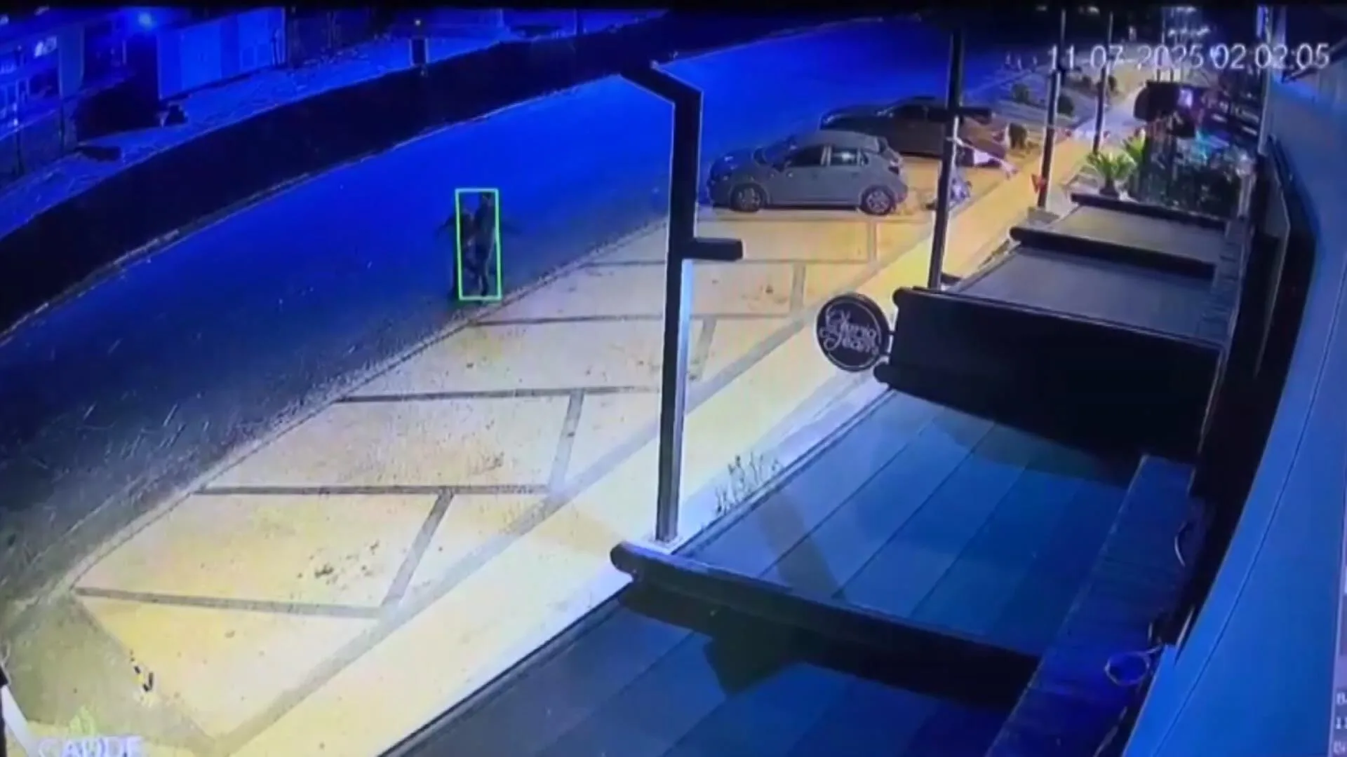 Istanbul Ayse Tokyaz Cinayeti Davasi