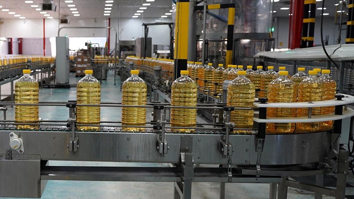Türkiye'nin Ayçiçek Yağı Ihracatı 1 Milyar Dolara Yaklaştı