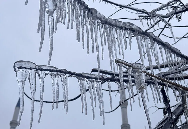 Zemheri Kis Donemi Ne Zaman