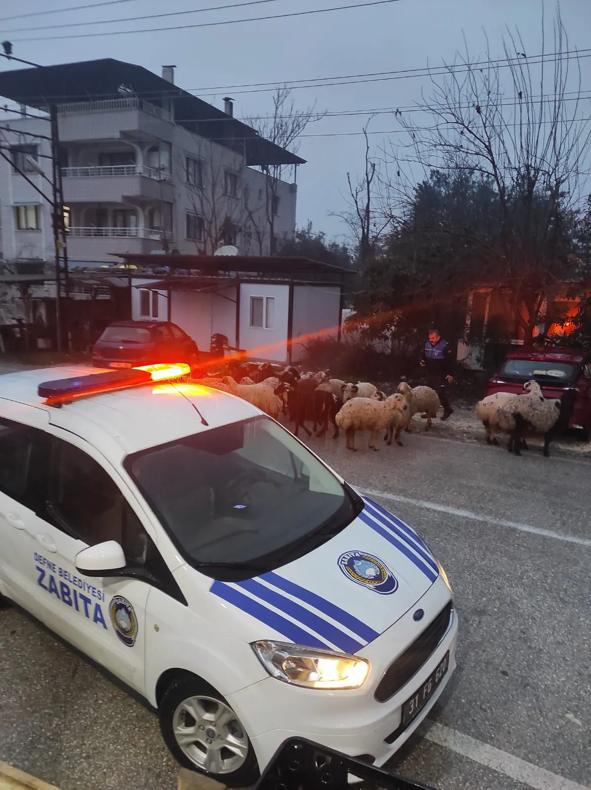 B60B31E5 40C3 471F 968B B7D6Afc515C2