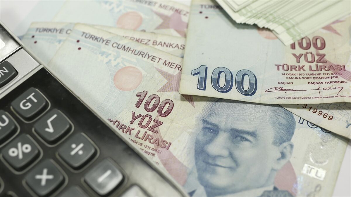 Dezenflasyon Sürecinde Para Ve Maliye Politikasının Uyumu Önem Taşıyor