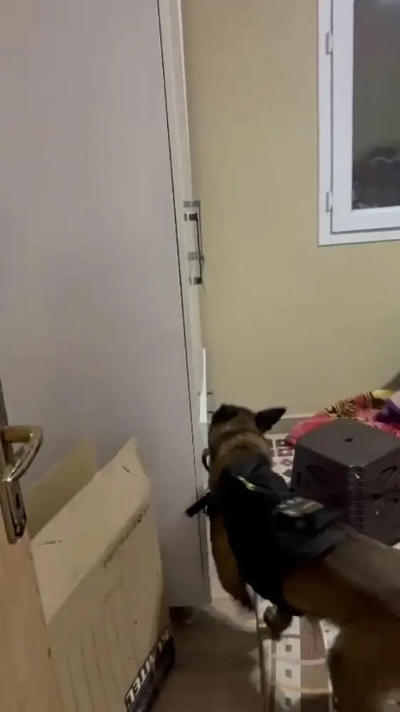 Genç Kız Vurulma (4)