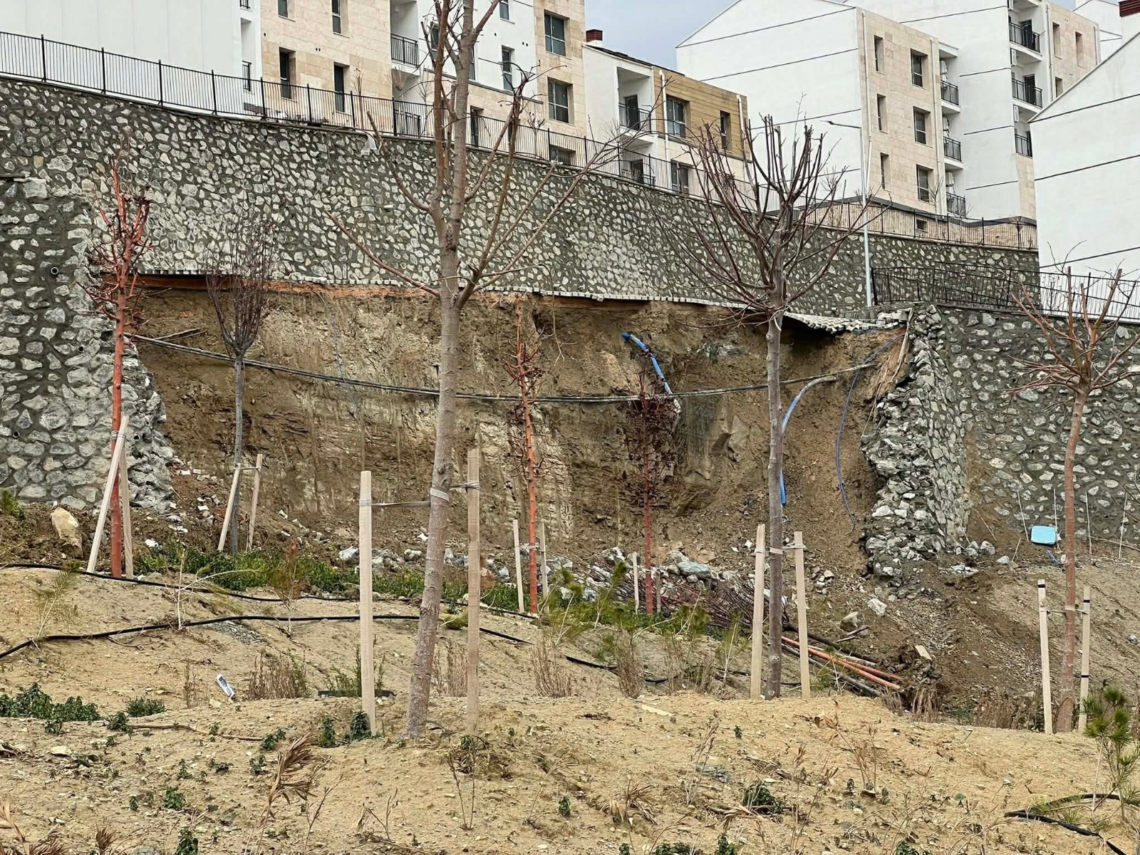 I M G 20260131 W A0101(1)