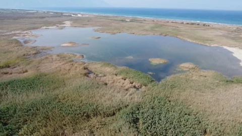 Milleyhada Korunacak