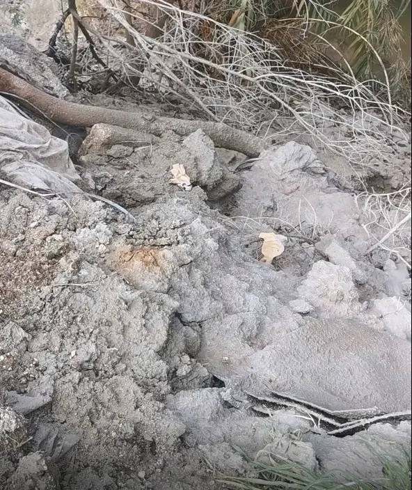 Whatsapp Image 2026 01 14 At 14.23.16