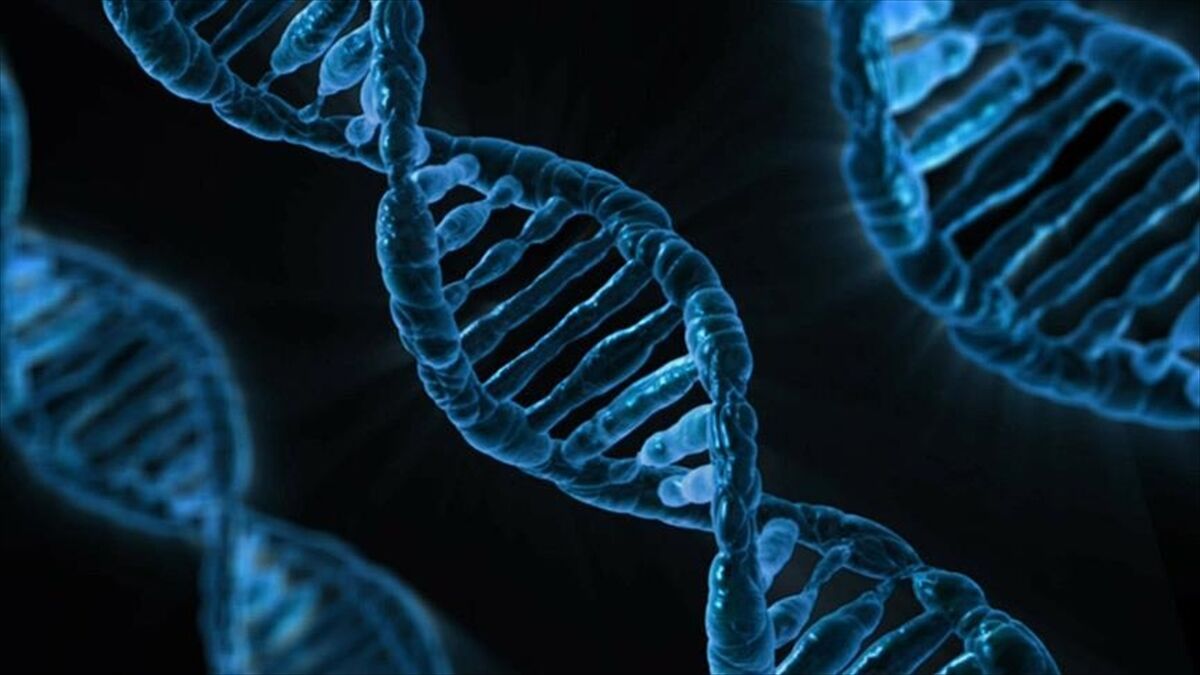 Yapay Zeka Modeli 'Alphagenome' Yardımıyla Dna'nın Bilinmeyenlerinin Keşfedilmesi Öngörülüyor